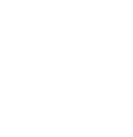 MAIN LINES COMPANY L.L.C